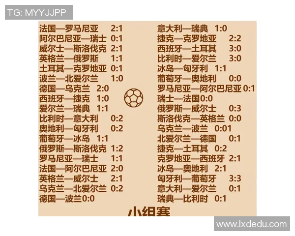 欧洲杯赛事球迷文化传播与互动研究