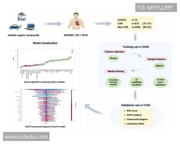 基于大数据与机器学习的体育胜负预测模型更新与优化研究